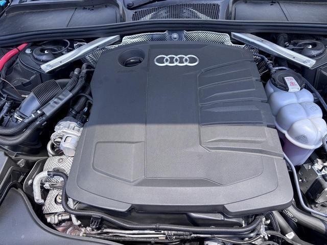 25257448_carP_l_12.jpg