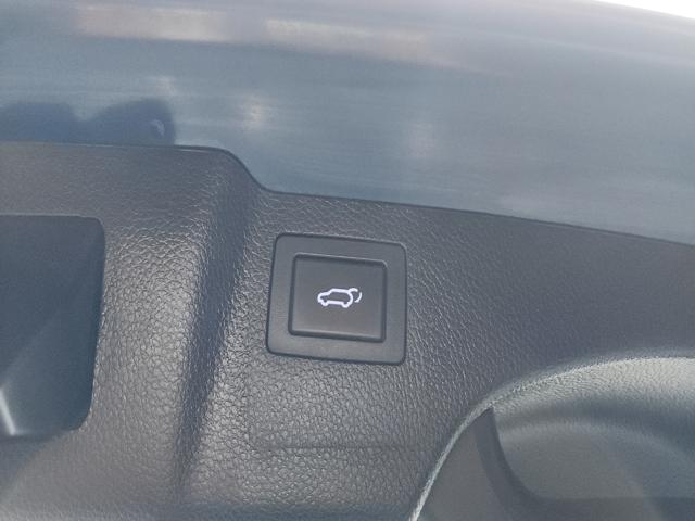8e390686a0703d5862250f7e6e2f0389.jpeg