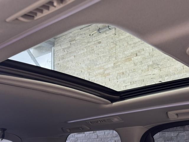 26425350_carP_l_19.jpg