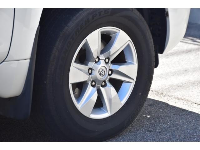 27032747_carP_l_19.jpg