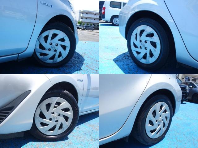 24684181_carP_l_19.jpg
