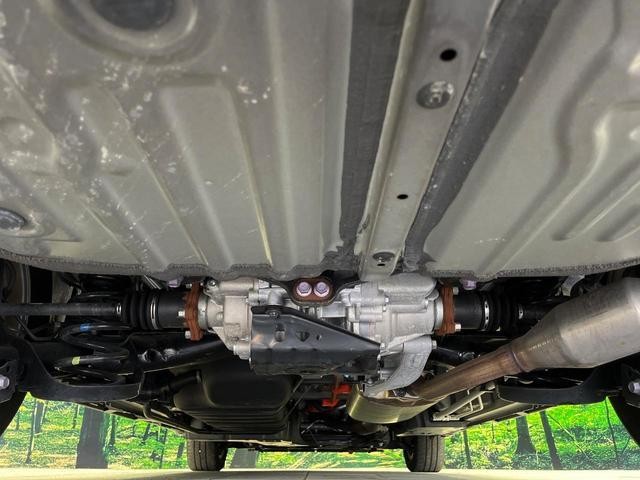 27052223_carP_l_20.jpg