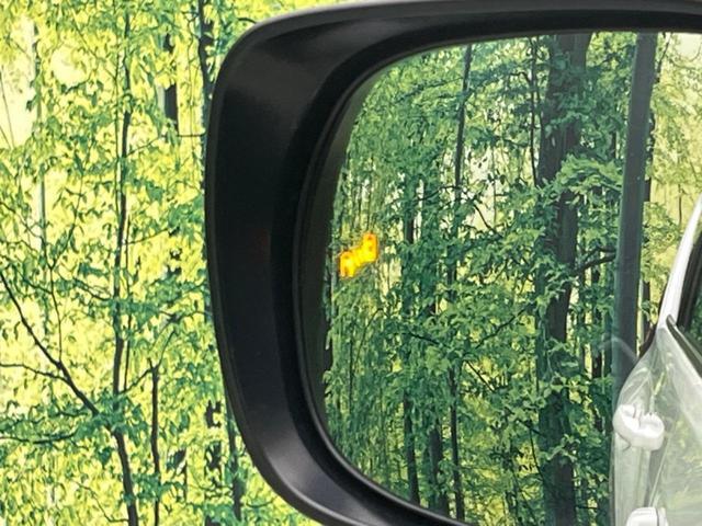 24953194_carP_l_14.jpg
