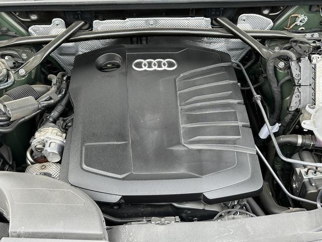 25257456_carP_l_12.jpg