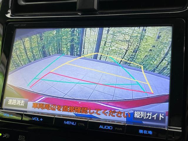 23575981_carP_l_4.jpg