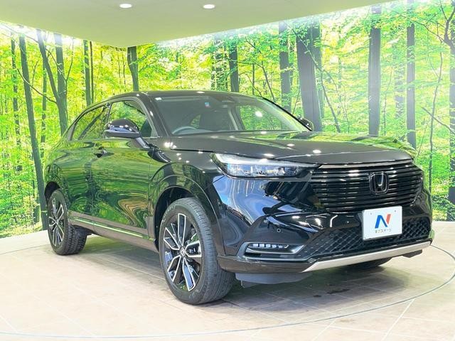 25653422_carP_l_9.jpg