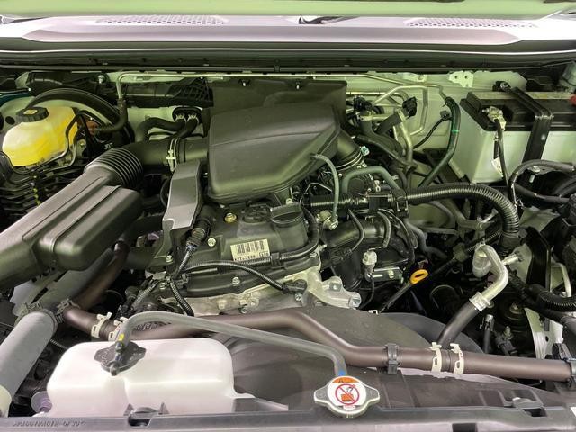 26816811_carP_l_18.jpg