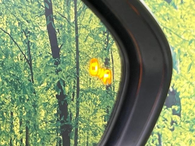 26424973_carP_l_10.jpg