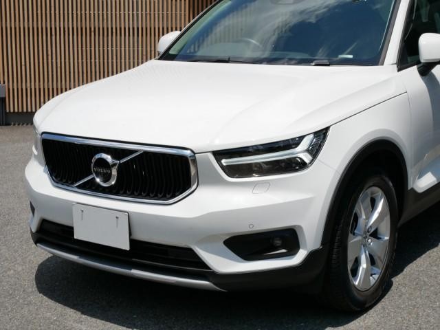 25923577_carP_l_11.jpg