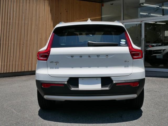 25923577_carP_l_20.jpg
