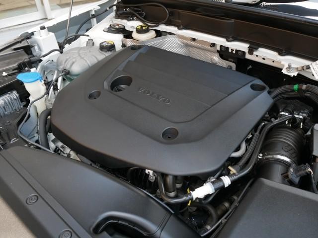 25923577_carP_l_6.jpg