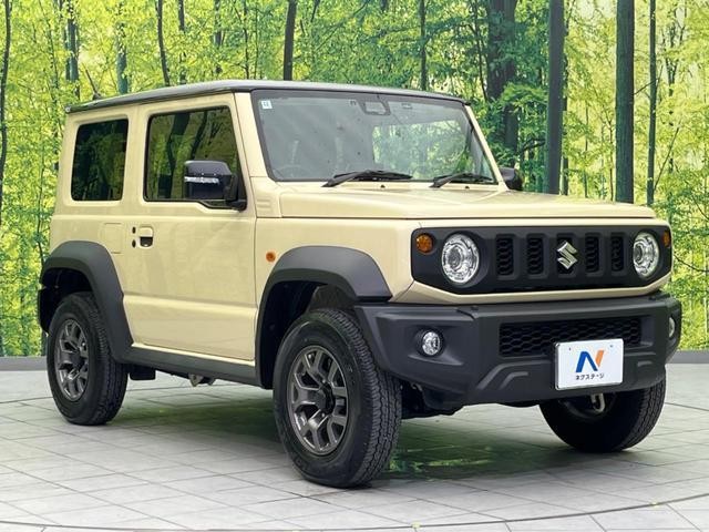 26335169_carP_l_11.jpg