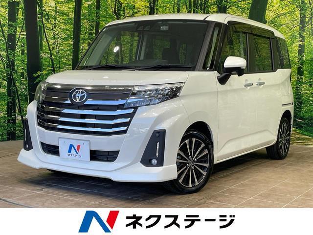 26838979_carP_l_1.jpg