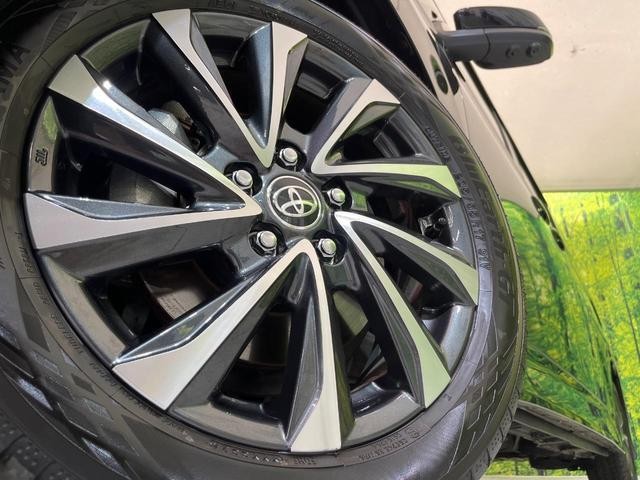 25117428_carP_l_8.jpg