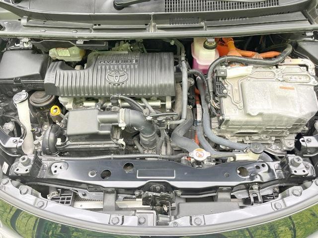 25262789_carP_l_16.jpg