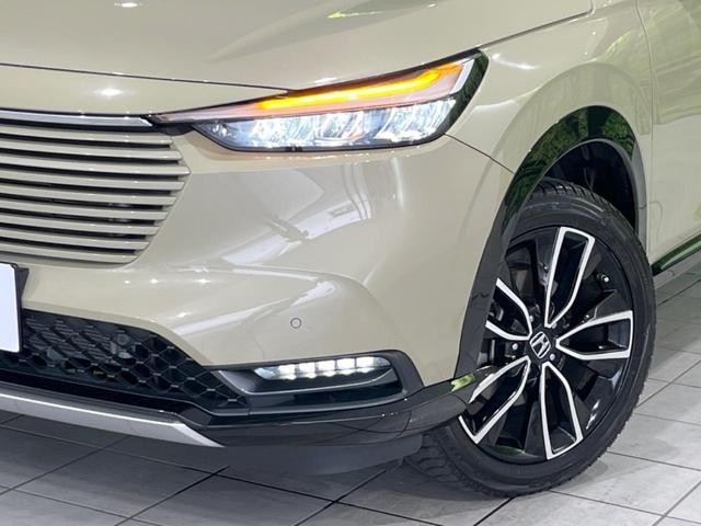 25486950_carP_l_9.jpg