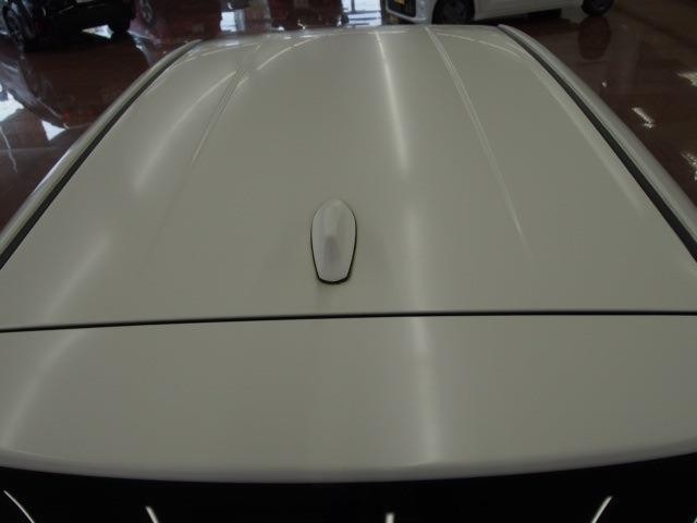 26859810_carP_l_11.jpg
