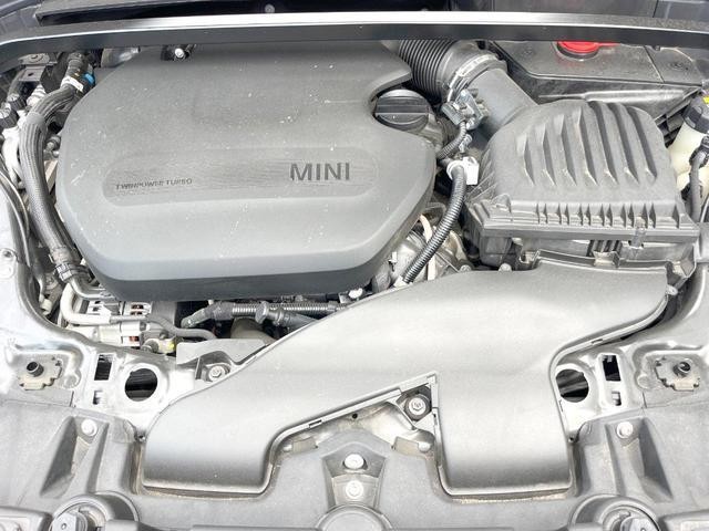 26209594_carP_l_18.jpg