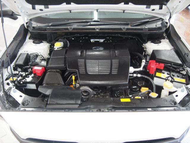 23693278_carP_l_17.jpg