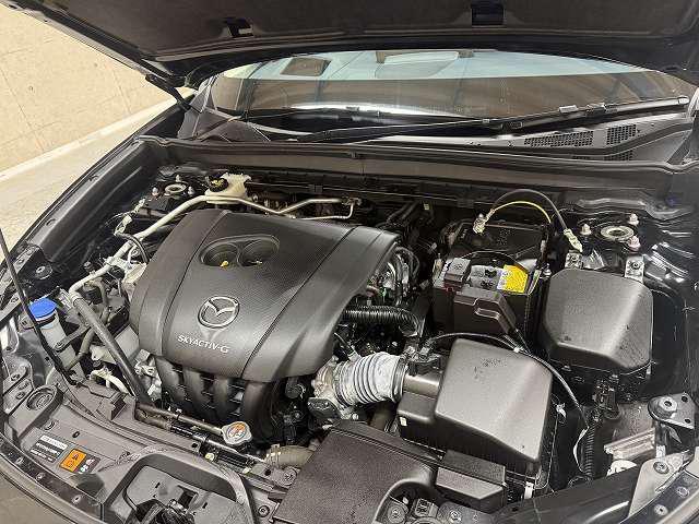 b159b460bdfbf14f499c7c29bb6a46bf.jpg