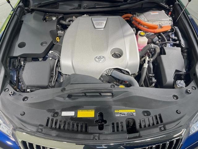 24952870_carP_l_16.jpg