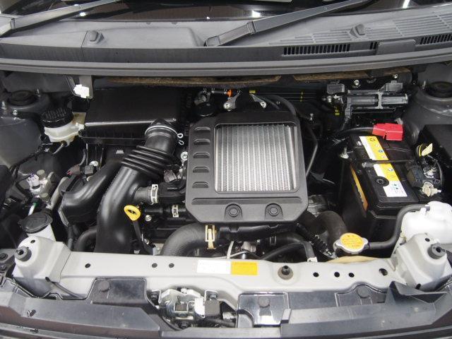23693284_carP_l_17.jpg