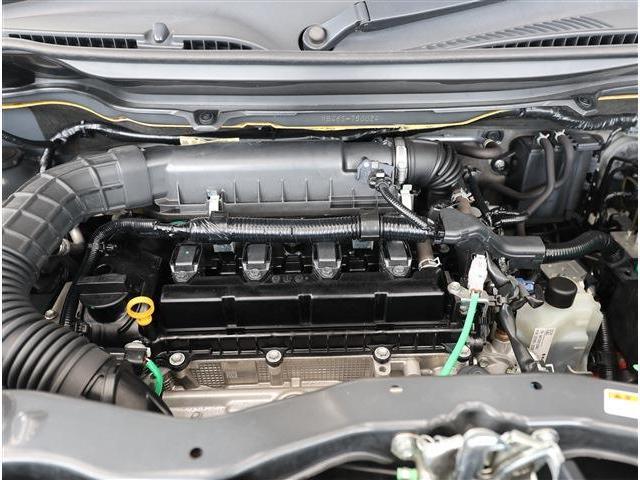 24547203_carP_l_18.jpg