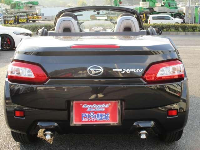 23158412_carP_l_8.jpg
