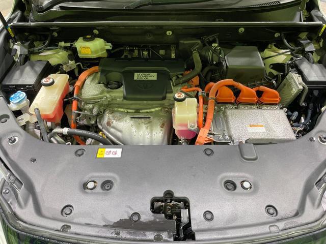24602930_carP_l_18.jpg