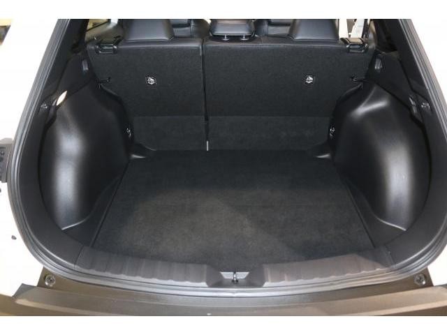 26732389_carP_l_18.jpg