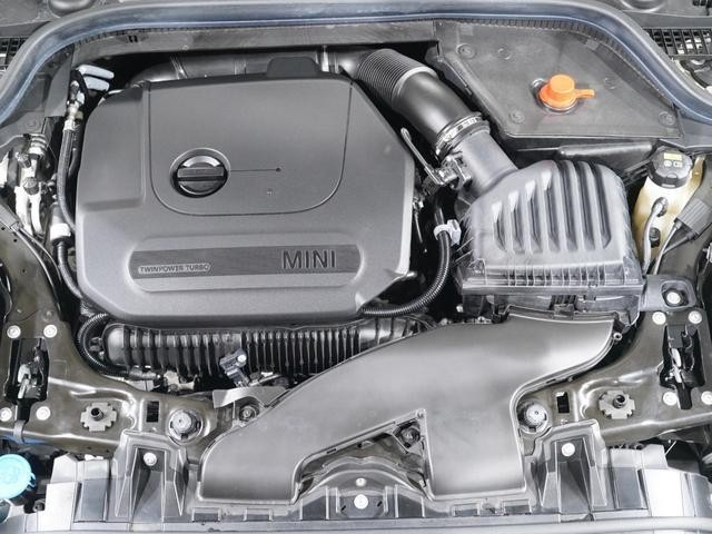 24500535_carP_l_14.jpg