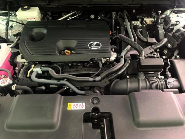24685580_carP_l_12.jpg