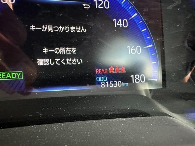 25571189_carP_l_13.jpg