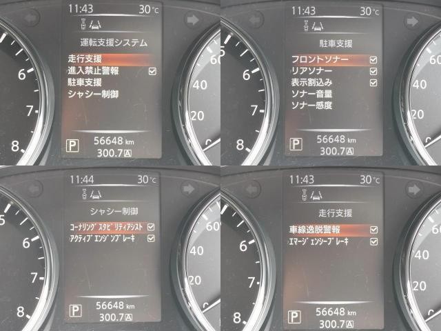 24911188_carP_l_13.jpg