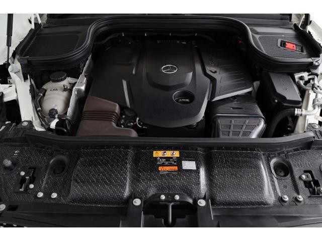 26432449_carP_l_17.jpg