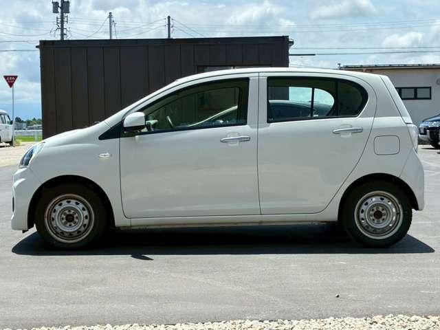 25322256_carP_l_17.jpg