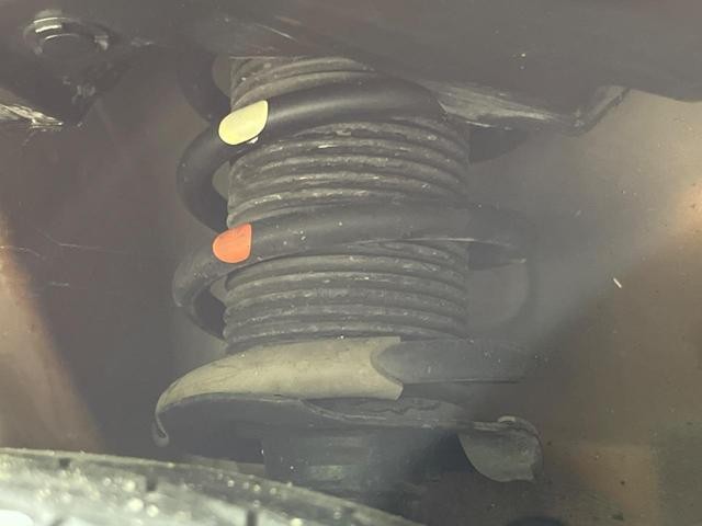 25527447_carP_l_20.jpg