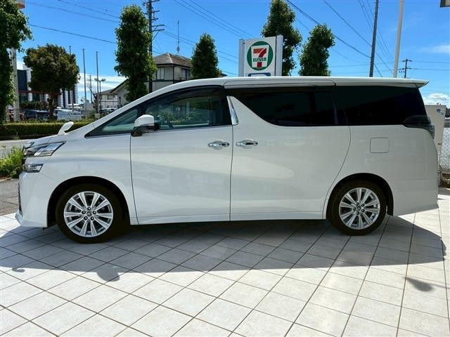 25699858_carP_l_15.jpg