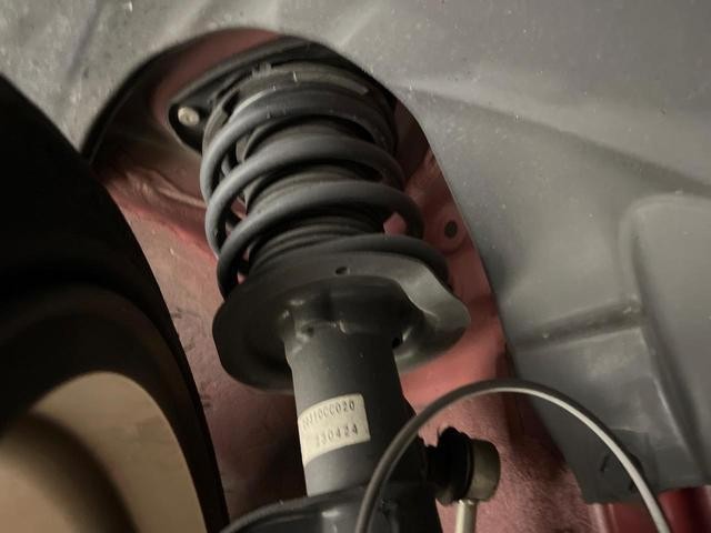 25982916_carP_l_18.jpg
