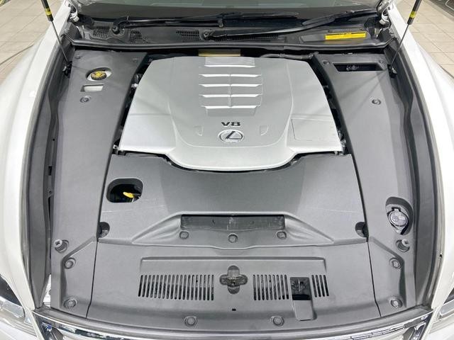 25714889_carP_l_16.jpg