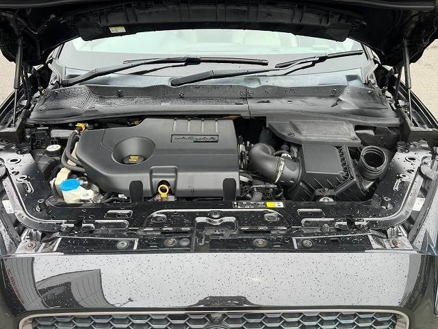 0127516A20260829D00113.jpg
