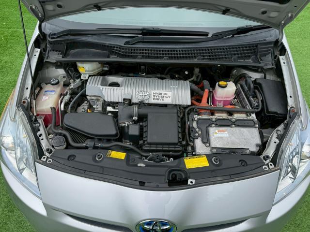 24386046_carP_l_12.jpg
