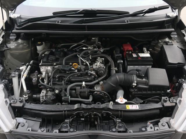 24609166_carP_l_17.jpg
