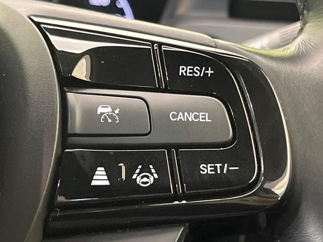 25962650_carP_l_10.jpg
