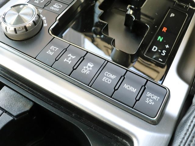 0302201A30261025W00117.jpg