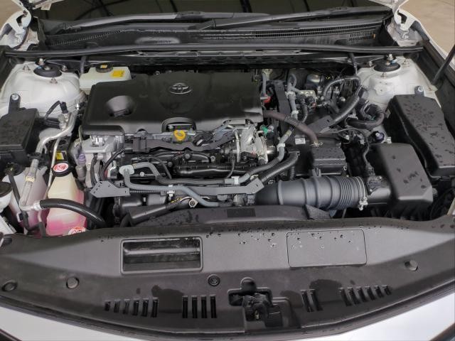 25071449_carP_l_17.jpg
