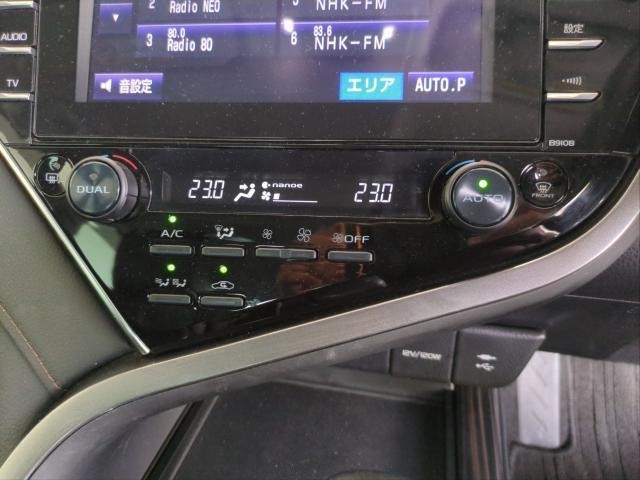 25071449_carP_l_20.jpg