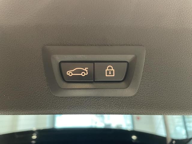 25298496_carP_l_11.jpg