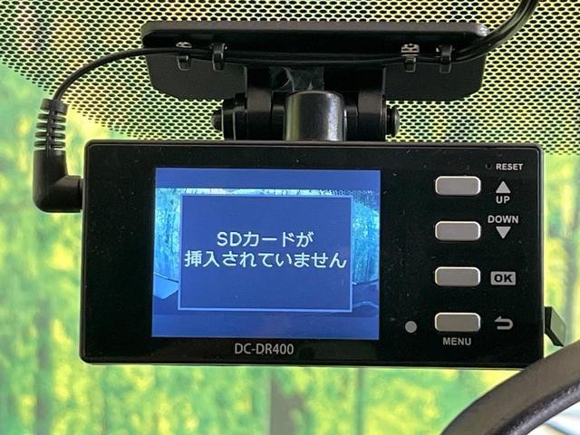 25962668_carP_l_4.jpg