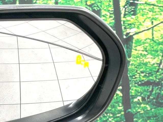 25241949_carP_l_13.jpg